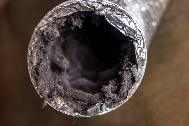 Best Mold and Mildew Removal from Ducts in Carlyss, LA